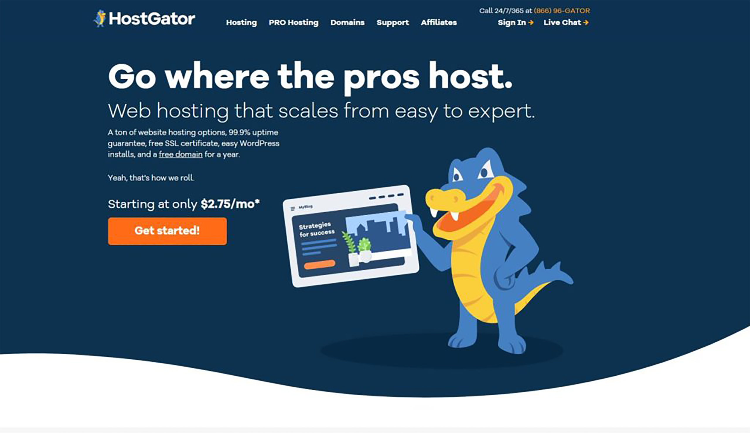 HostGator Web Hosting Review